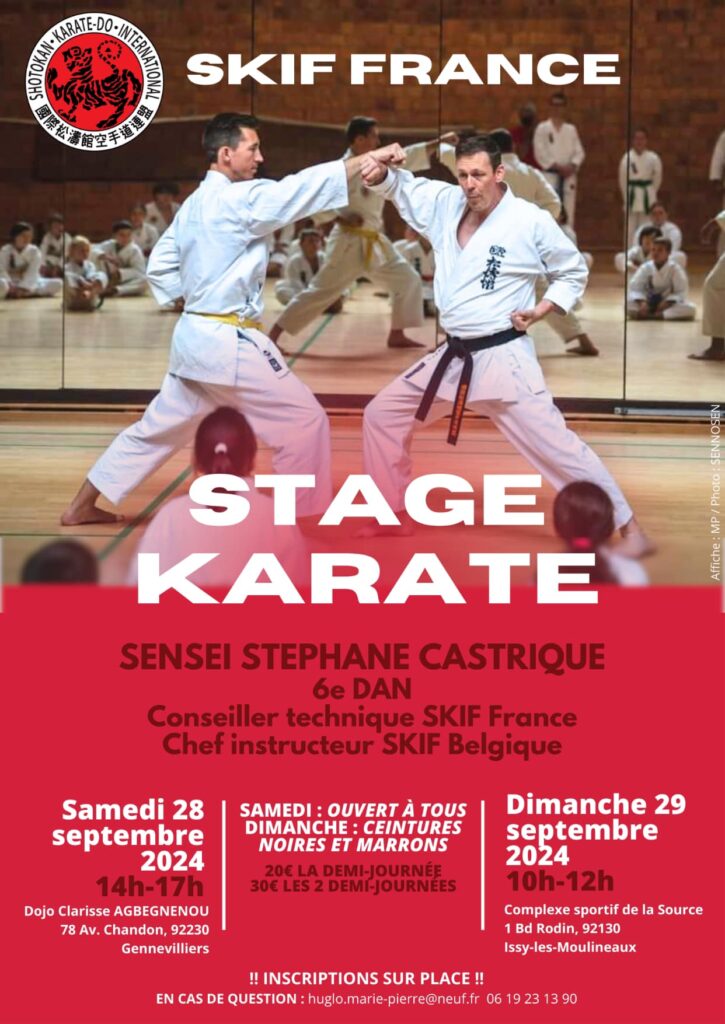 Affichage stage Karaté, sensei Stephane Castrique