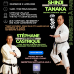 Affiche stage paris Tanaka Sensei