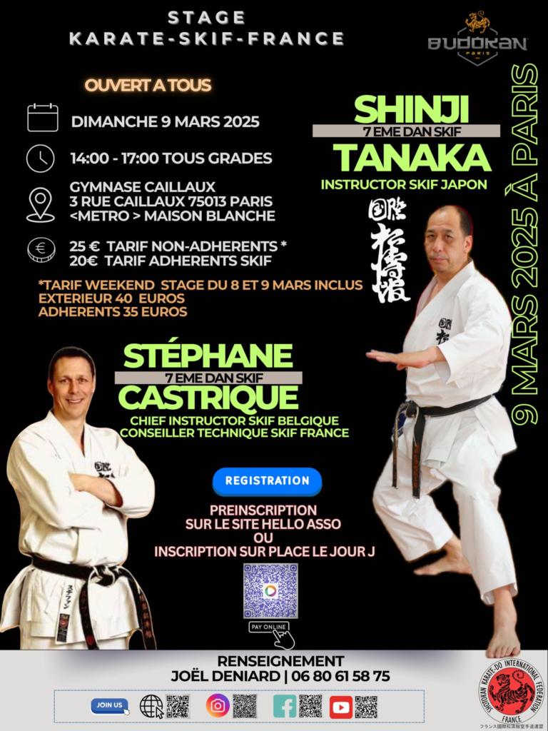 Affiche stage paris Tanaka Sensei