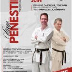 Affiche Stage Penestin SKIF France